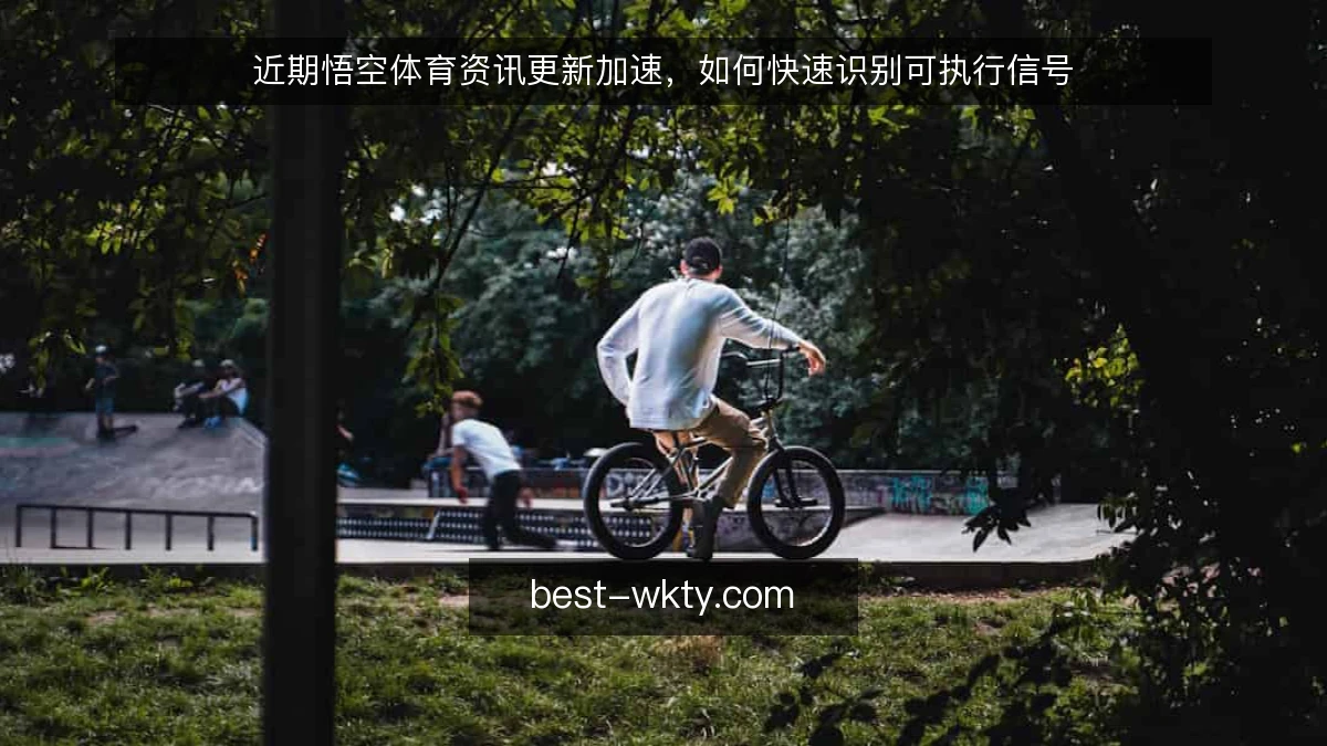 近期悟空体育资讯更新加速，如何快速识别可执行信号