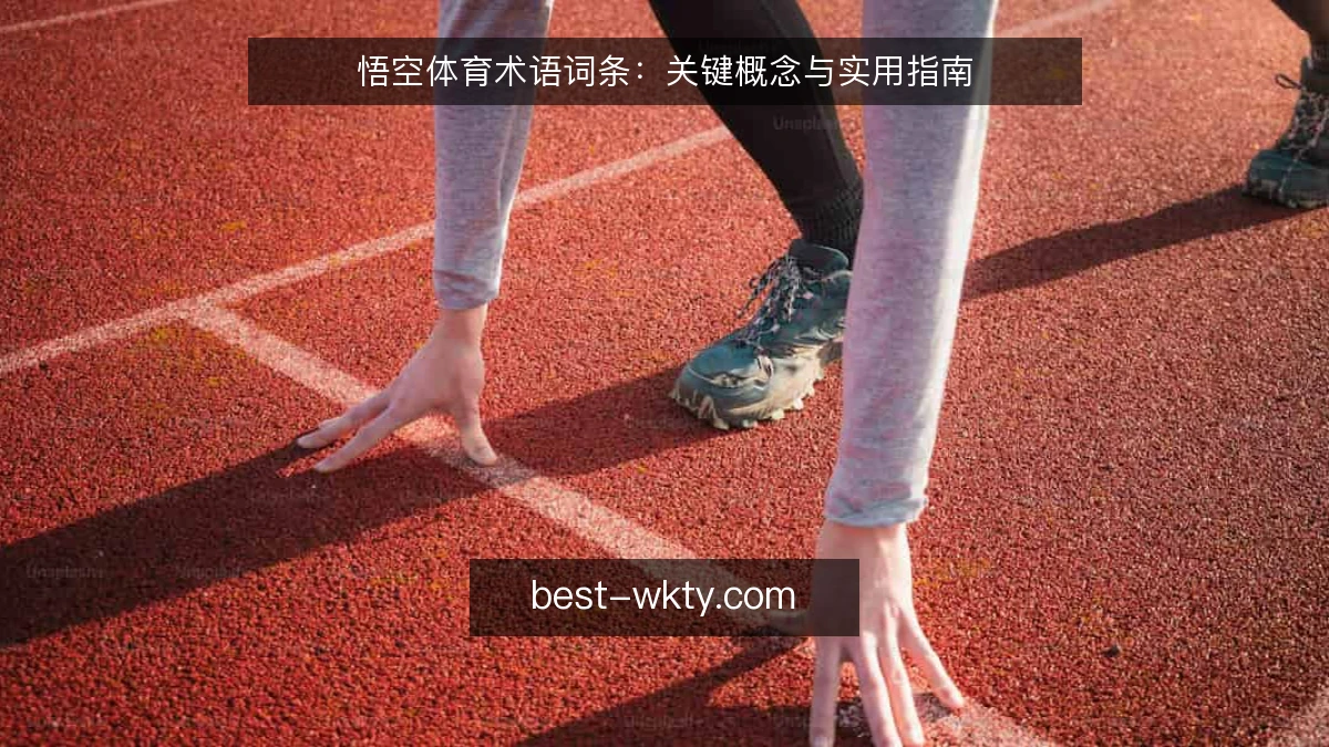 悟空体育术语词条：关键概念与实用指南